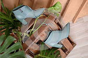 Blue shoes on a wooden brown background next to a palm branch of fashionable women`s blue boots. A pair of fashionable