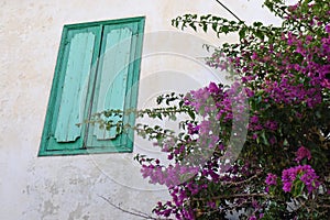 Blue shutter at Lesvos greece