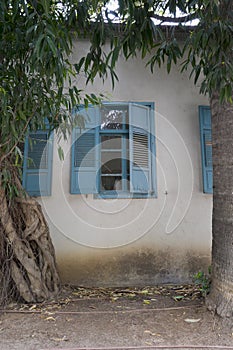 Blue shutters in Zihron Yaakov