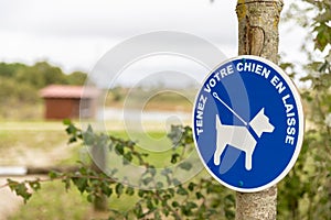Blue sign authorizing the walking of dogs with leash