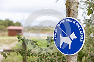 Blue sign authorizing the walking of dogs with leash