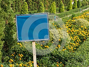 Blue Sign in the garden photo