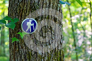 Blue and silver hiking trail marker on tree with out of focus green background