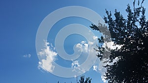 Blue skies clouds and a tree