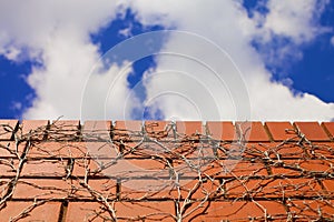 Blue skies over brick wall