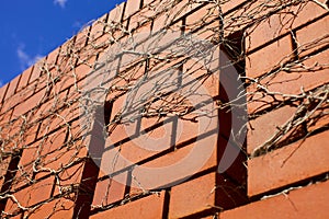 Blue skies over brick wall