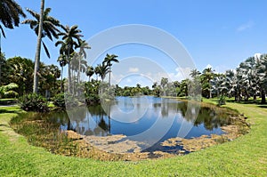 Blue skies over Fairchild Gardens in Miami