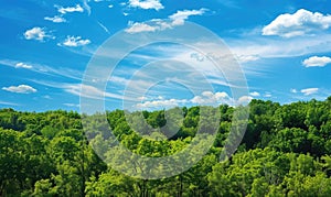 Blue skies over a green forest, spring nature background