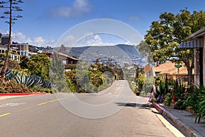 Blue sky above Hillcrest Drive roadside in Laguna Beach photo