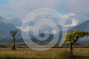 A blue sky above misty mountains and a field with two trees in small Bavarian town