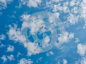 Blue sky background with cumulus white clouds, nature photography, sun rays, natural background, bird flying high in sky wallpaper