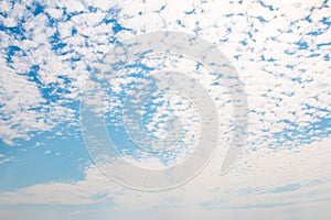 Blue Sky Background with White Clouds. Altocumulus cloud during the day