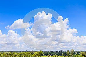 Blue sky background and white clouds over the green forest