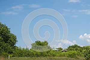 Blue sky and baeutiful cloud