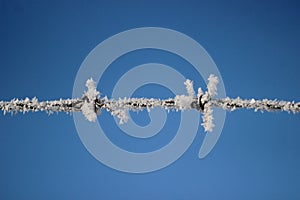 In the blue sky the barbed wire in the refrigerator froze photo