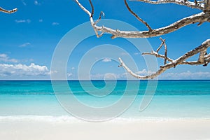 Blue sky with beach sea