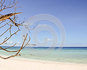 Blue sky with beach sea and brance