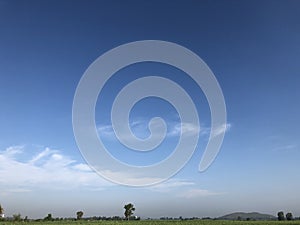 Blue sky and beautiful cloud with meadow tree