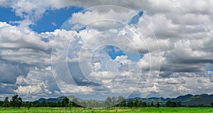 Blue sky and beautiful cloud with meadow tree