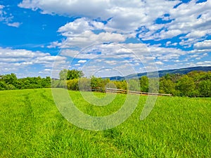 Blue sky and beautiful cloud with meadow tree. Plain landscape background