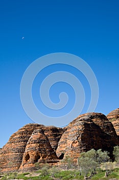 Blue Sky Bungle photo