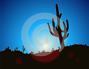 Blue Sky Cactus