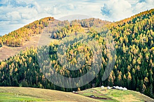 Autumn grassland in Xinjiang