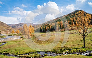 Autumn grassland in Xinjiang