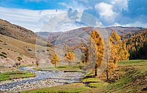 Autumn grassland in Xinjiang