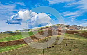 Autumn grassland in Xinjiang