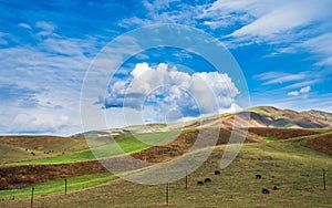 Autumn grassland in Xinjiang