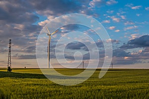 Cirro cumulus clouds over fields photo