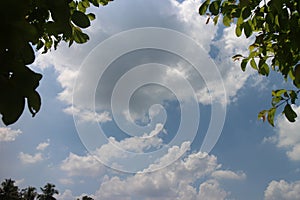 Blue sky and cloud with meadow trees. Plain landscape background for summer poster.