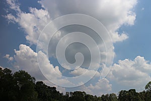 Blue sky and cloud with meadow trees. Plain landscape background for summer poster.