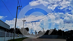 Blue sky  cloud tree