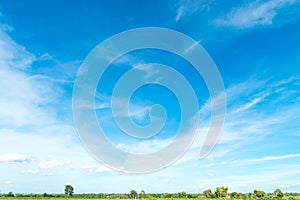 Blue sky and cloud with tree.