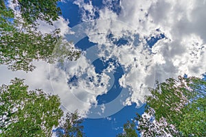Blue sky with clouds on a background of green trees