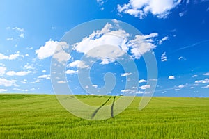 Blue sky, clouds and field at countryside with farm, sustainability and garden landscape in spring. Nature, environment