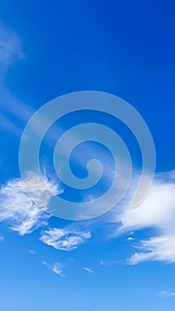 Blue sky with clouds, flying birds and green branches. Summer nature. Road