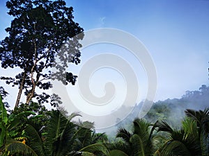 Blue sky with clouds form Tropical rainforest