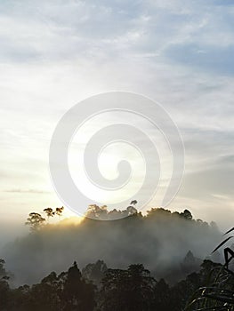 Blue sky with clouds form Tropical rainforest