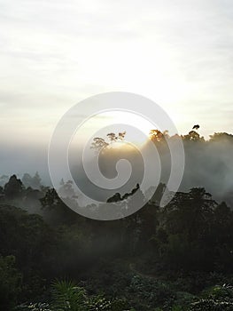 Blue sky with clouds form Tropical rainforest