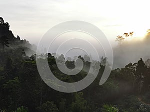 Blue sky with clouds form Tropical rainforest