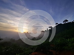 Blue sky with clouds form Tropical rainforest