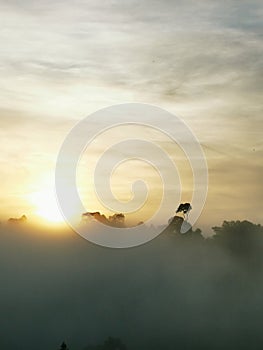 Blue sky with clouds form Tropical rainforest