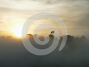 Blue sky with clouds form Tropical rainforest