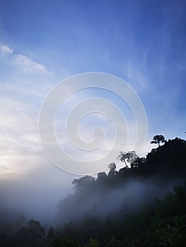 Blue sky with clouds form Tropical rainforest
