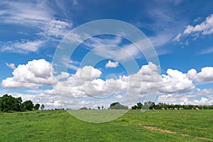 blue sky clouds with green field landscape for background or backgrop nature concept