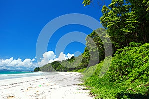 Blue sky and clouds in Havelock island. Andaman islands, India photo