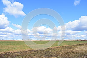Blue sky. Clouds are low over the field. In the distance, the forest and the village. A large field of young grass, boundless